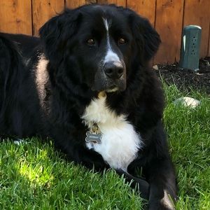 Meet your Posher, Deb